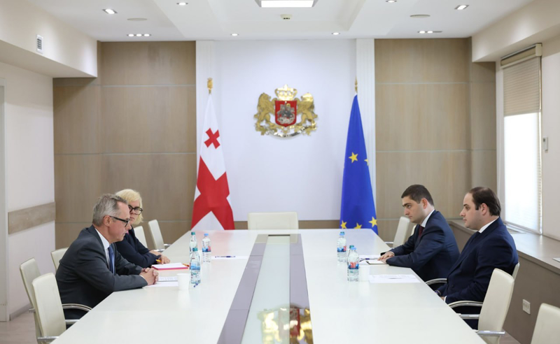კობახიძის ადმინისტრაციის უფროსი პეტერ ფიშერს შეხვდა