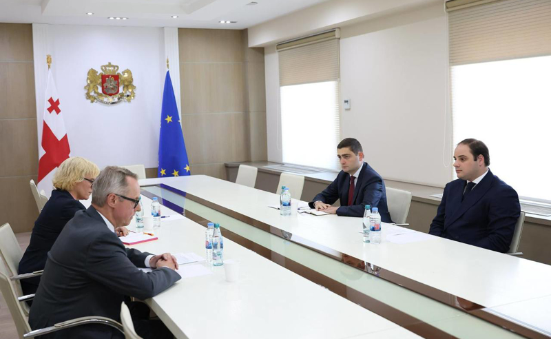კობახიძემ გერმანიას ქართული არასამთავრობო ორგანიზაციებისთვის გრანტების გაცემაზე უარი უთხრა