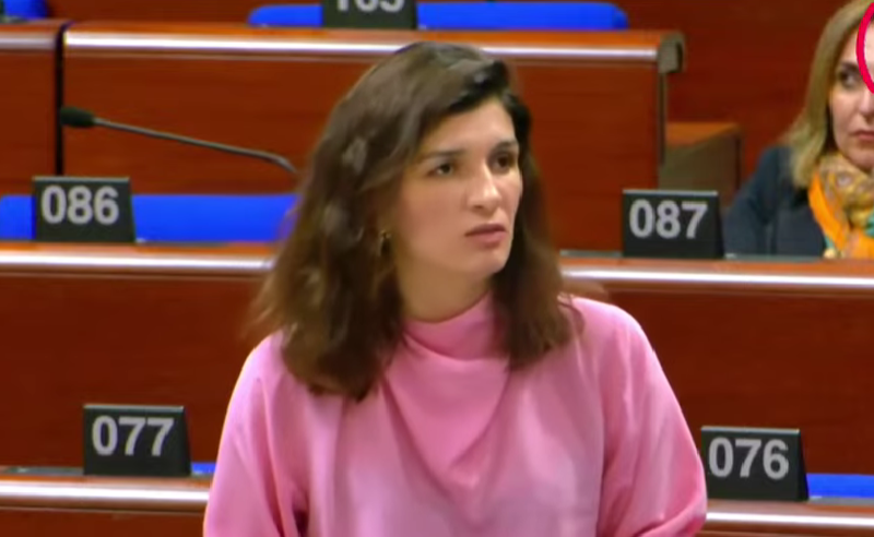 საბინა ჩუდიჩი: ნული მტკიცებულება გვაქვს, რომ საქართველოში თვითმმართველობის არჩევნები შეიძლება თავისუფალი და სამართლიანი იყოს