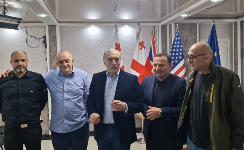 მუხლი, რომლითაც შსს-მ პოლიტიკოსები დააკავა 9 წლამდე პატიმრობას ითვალისწინებს