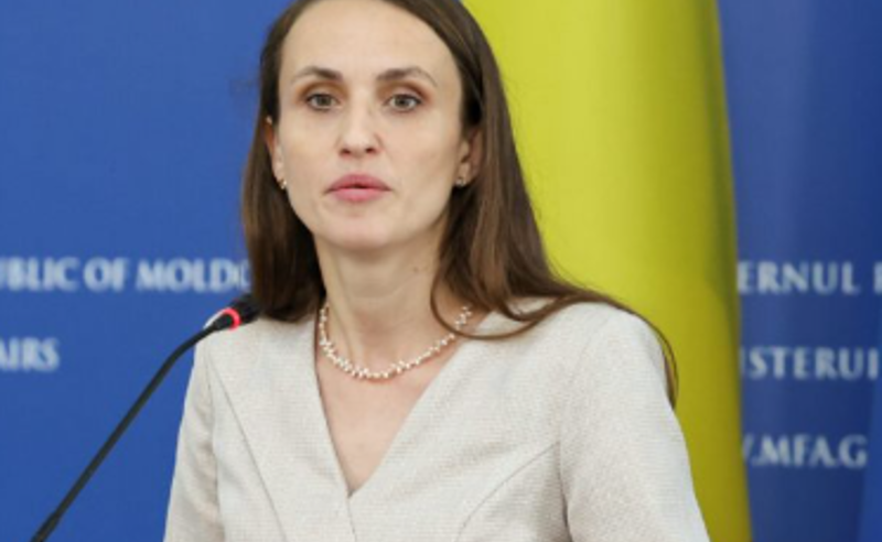 რუმინეთი ქართველი ხალხისა და მათი ლეგიტიმური დემოკრატიული და ევროპული მისწრაფებების გვერდით დგას - ოანა ცოიუ