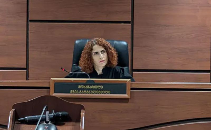 მოსამართლე მზია გარშაულიშვილმა სასახლის ღობის საქმეზე დაკავებული 3 პირი პატიმრობაში გაუშვა 