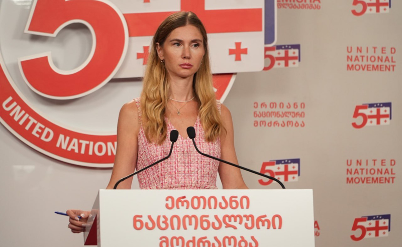 ფაქტია, რაღაცა სუსის ჩარევას და ინფილტრაციას ჰქონდა ადგილი - ბოკუჩავა სასახლის ღობის სკანდალზე