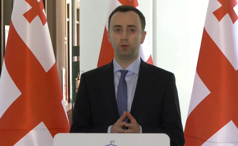 "ჩვენ ვენეციის კომისიისთვის აზრი არ გვიკითხავს" - მახაშვილი