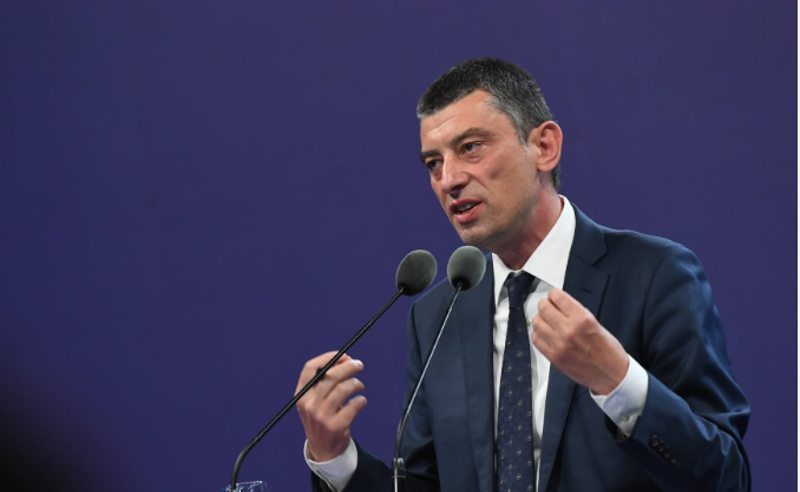 გახარიას პარტია პარლამენტში შედის - რა რეაქცია მოჰყვა ექსპრემიერის გადაწყვეტილებას