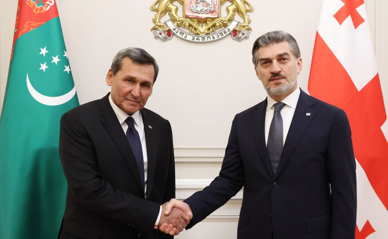 ყაველაშვილი თურქმენეთის საგარეო საქმეთა მინისტრს შეხვდა