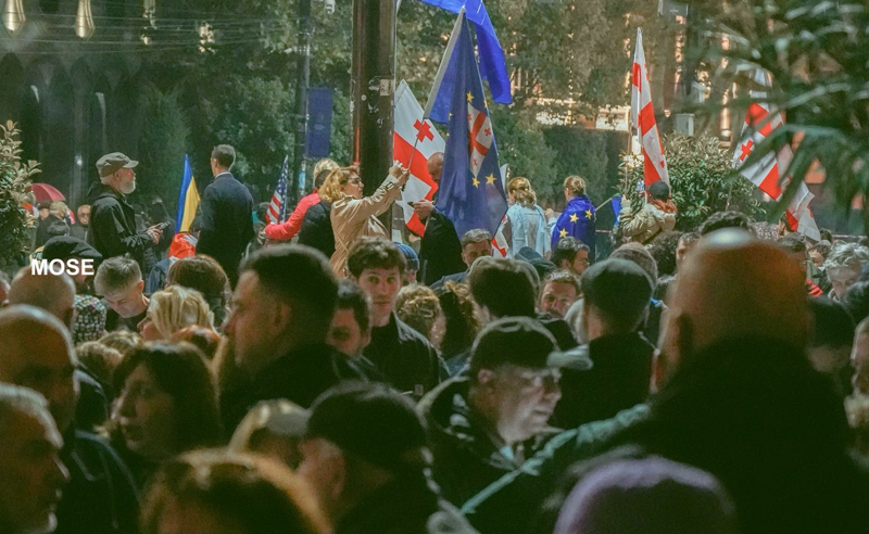 შსს აქტივისტების წინააღმდეგ - ბოლო 24 საათის განმავლობაში, კიდევ 12 პირი დააკავეს