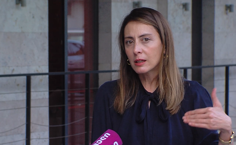 დეკანოიძე: ივანიშვილის ჩართულობის გარეშე საქართველოში რუსული სანქცირებული ტვირთი ვერ შემოვიდოდა