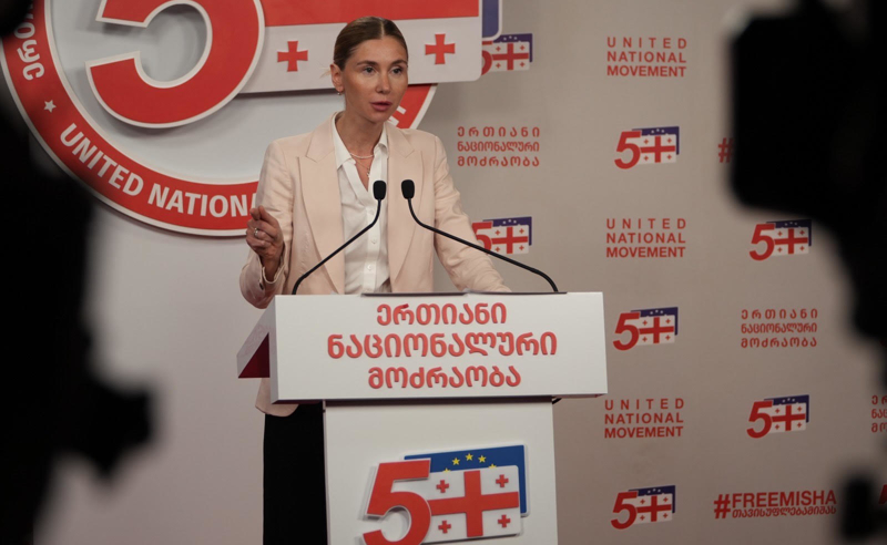 ეს ცირკი გაერთიანებისთვის დიდი შესაძლებლობაა  - როგორ პასუხობს ენმ "ოცნების" სარჩელს 