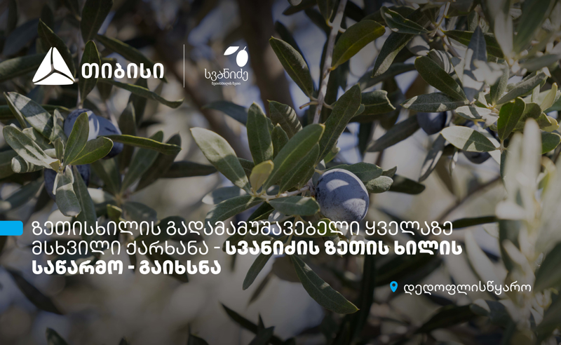 თიბისის მხარდაჭერით, დედოფლისწყაროში „სვანიძის ზეთისხილის“ საწარმო გაიხსნა