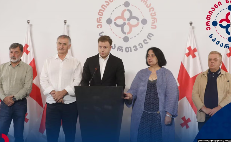 ნანა კაკაბაძე,  ვატო შაქარიშვილი და სხვები  პარტიას ქმნიან
