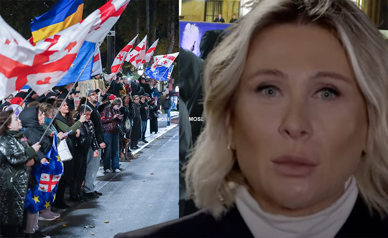 ნინო წილოსანი აქციის მონაწილეებს " ფსიქიკურად შეშლილებს" უწოდებს