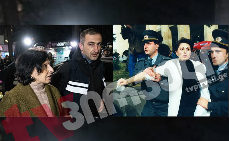 ქალი ეროვნული მოძრაობიდან, რომელიც პროტესტის სიმბოლოდ იქცა - ვინ არის გუშინ დაკავებული ლელა ცომაია [ფოტოები არქივიდან]