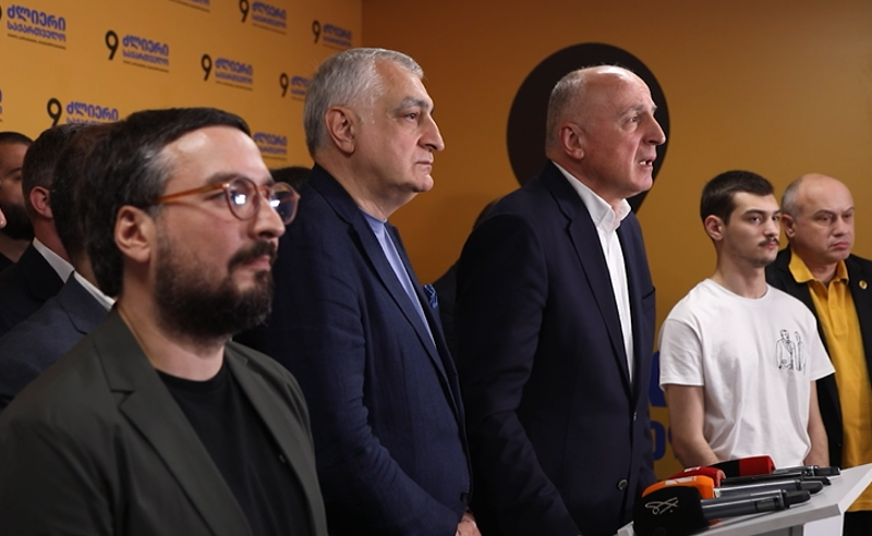 "ივანიშვილმა გადაწყვიტა, ციხეში ჩასვას პოლიტიკა" - "ლელო - ძლიერი საქართველოს" პირველი კომენტარი