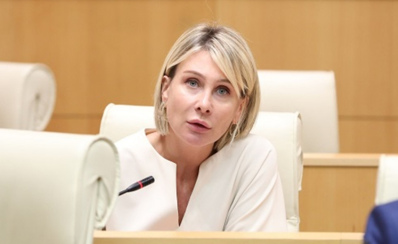 წილოსანი ოპოზიციას ქართული "ეკონომიკის ტერაქტში" ადანაშაულებს