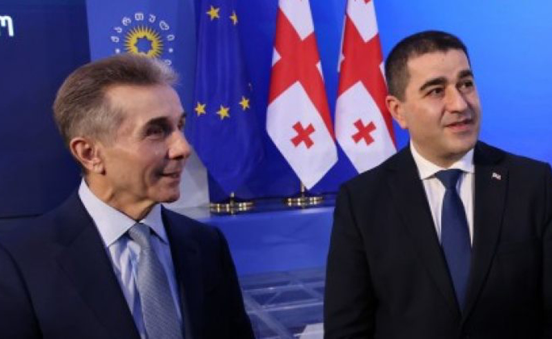 "რეჟიმი დიქტატურის გამყარებას ცდილობს და პუტინის მითითებით მოქმედებს" - ენმ სააკაშვილის ციხეში დაბრუნებაზე