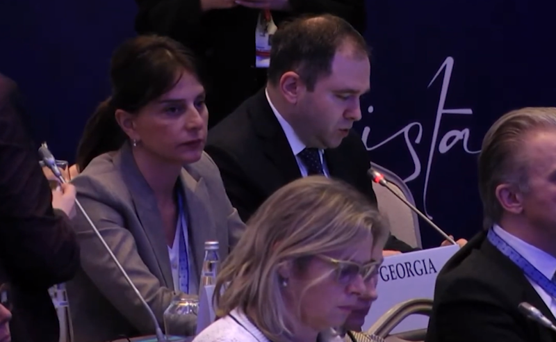 "ოცნების" ლიდერების აღიარება ეუთოს ასამბლეაზე  - "არ გვესაუბრებიან, არ გვაღიარებენ"