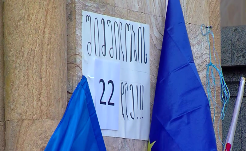 "24 საათიანი პროტესტი უალტერნატივოა" - შიმშილობის 22-ე დღე პარლამენტთან 