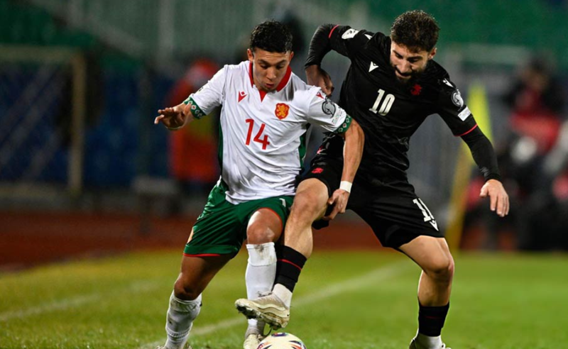 ბულგარეთი-საქართველოს მატჩი 2:1 დასრულდა