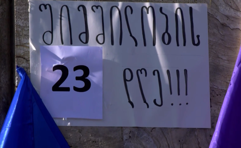 შიმშილობის 23-ე დღე პარალამენტთან - მოშიმშილეთა პროტესტს სამოქალაქო აქტივისტი ისაკო დევიძე შეუერთდა