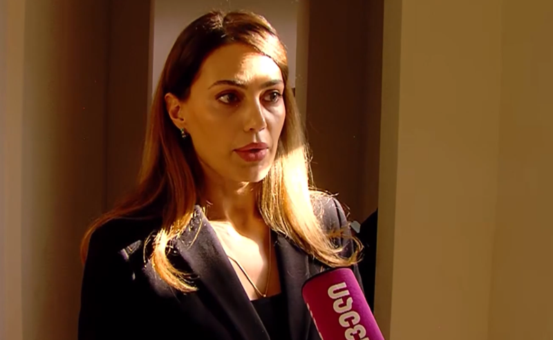 ნინო ვარდოსანიძე ამტკიცებს, რომ "ოცნების" მხარდამჭერები ლუკა ძაძამიას არ აბულინგებენ 