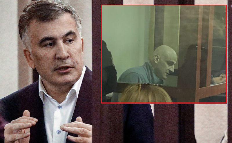 მელია სააკაშვილის წინააღმდეგ: მის გვერდზე 1 ჰექტარზეც ვერ მნახავთ