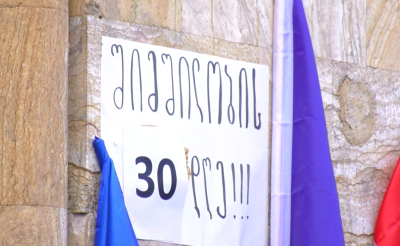 "კობახიძეს რა უნდა ელაპარაკო?" - შიმშილობის 30-ე დღე პარლამენტთან 