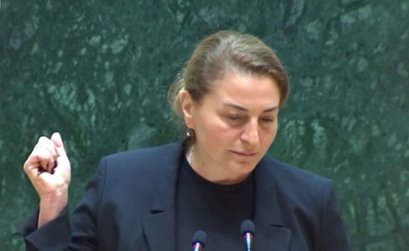 "მიადექით ნაჯახით  განათლების სისტემას" - ხორგუანმა კობახიძეს გავრილოვის სკანდალი შეახსენა