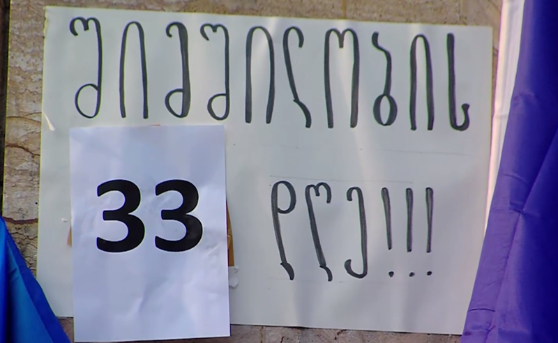 შიმშილობის 33-ე დღე პარლამენტთან - როგორია მოშიმშილეების მდგომარეობა?