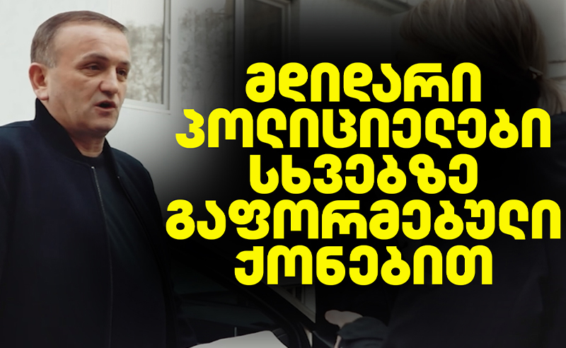 ვილა, ბინები, ძვირადღირებული მანქანები - მალავს თუ არა პოლიციის მაღალჩინოსანი ქონებას?