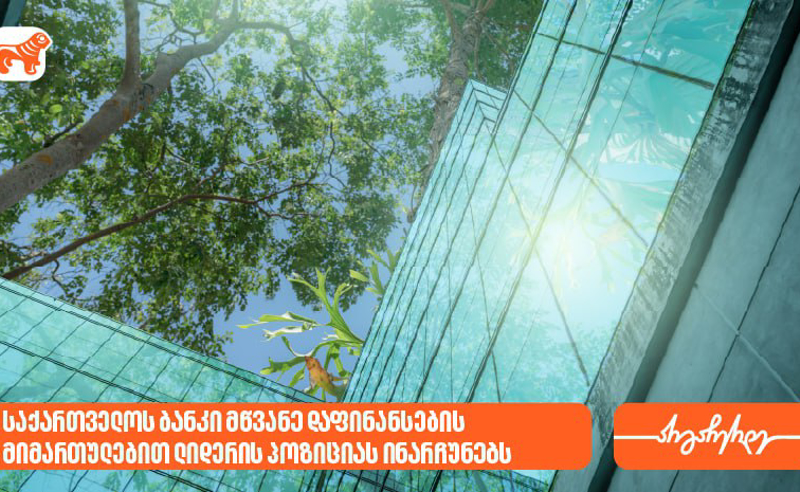 ეროვნული ბანკი: საქართველოს ბანკი მწვანე დაფინანსების მიმართულებით ლიდერის პოზიციას ინარჩუნებს