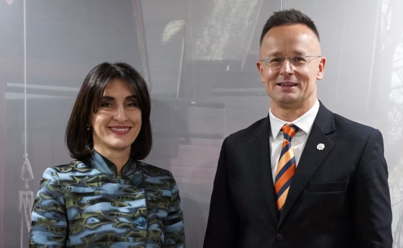 ერთ წელიწადში მეშვიდე შეხვედრა - ვენაში ჩასული მაკა ბოჭორიშვილი ამჯერადაც უნგრეთის საგარეო საქმეთა მინისტრს შეხვდა