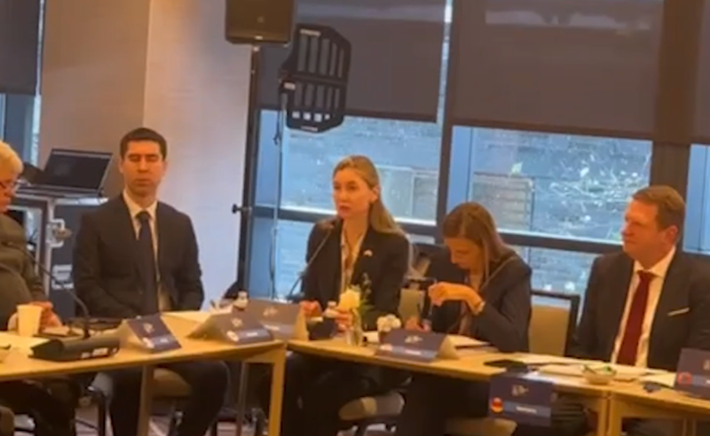 საერთაშორისო დემოკრატიის კავშირმა საქართველოს შესახებ ახალი რეზოლუცია მიიღო - ენმ