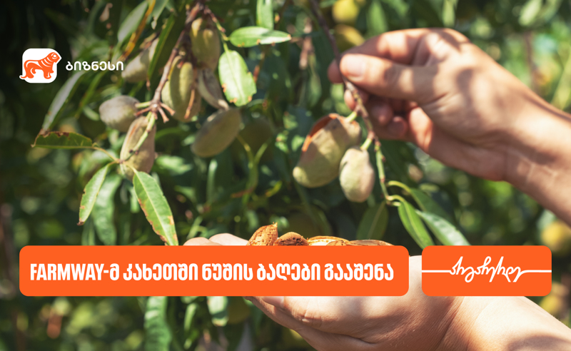 კომპანია Farmway-მ კახეთში ნუშის ბაღები გააშენა - მხარდამჭერი საქართველოს ბანკია