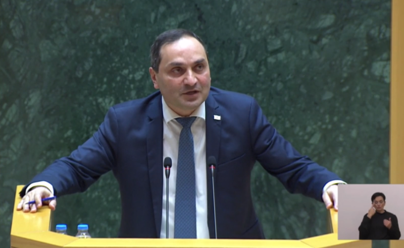 კერძო უნივერსიტეტებისთვის სახელმწიფო დაფინანსების მოხსნა პოლიტიკური გადაწყვეტილებაა - მინისტრის მოადგილე