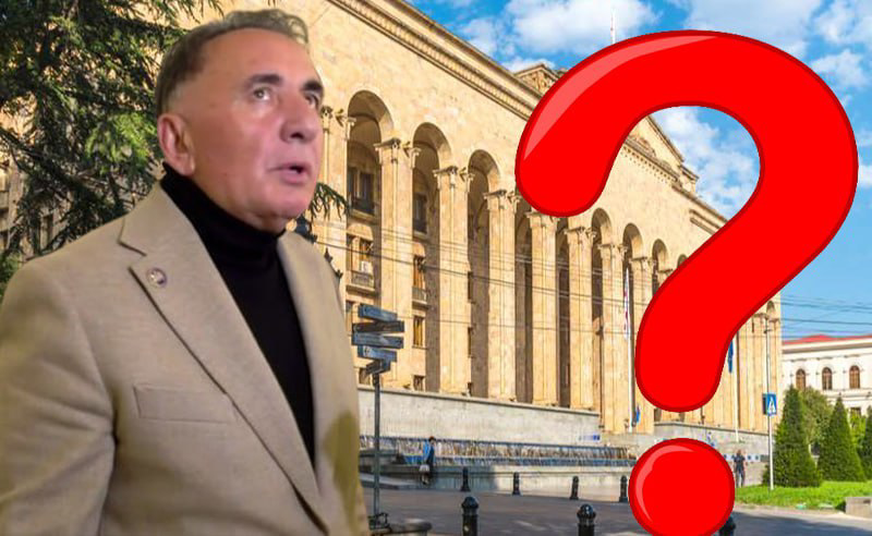 რისი განთავსება წარმოუდგენია დეპუტატ წაქაძეს პარლამენტის შენობაში? 