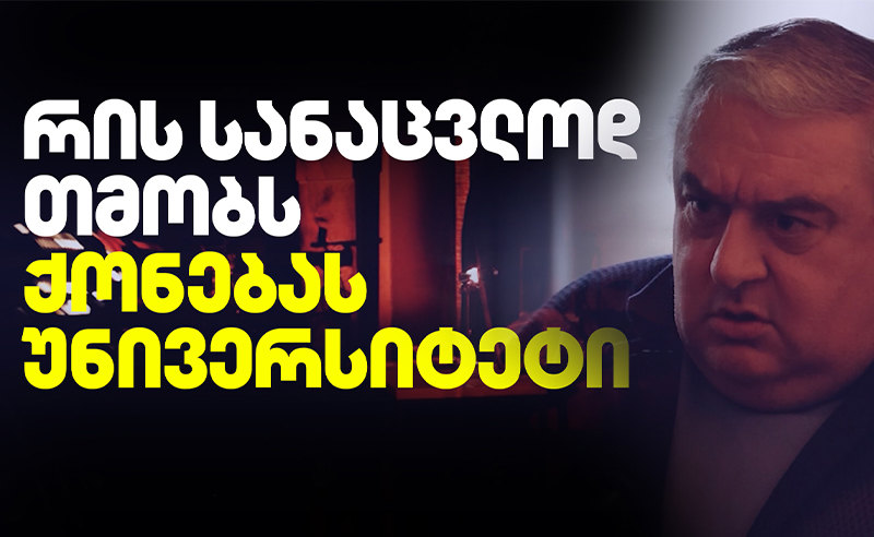 რის სანაცვლოდ დათმო თსუ-მ ქონება 