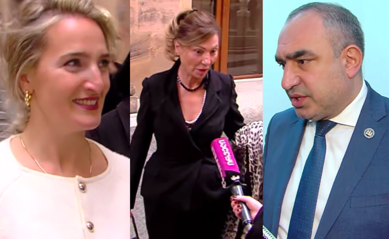 შეძლებდნენ თუ არა "ოცნების" წევრები თვეში 255 ლარად თავის რჩენას?  - დეპუტატების პასუხები