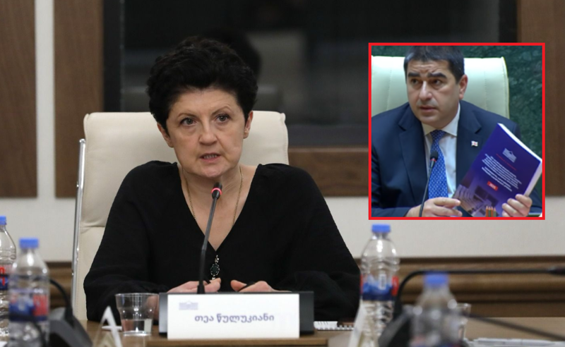 "ყველას დაგირიგდებათ"- თეა წულუკიანის კომისიის დასკვნა წიგნად გამოიცა