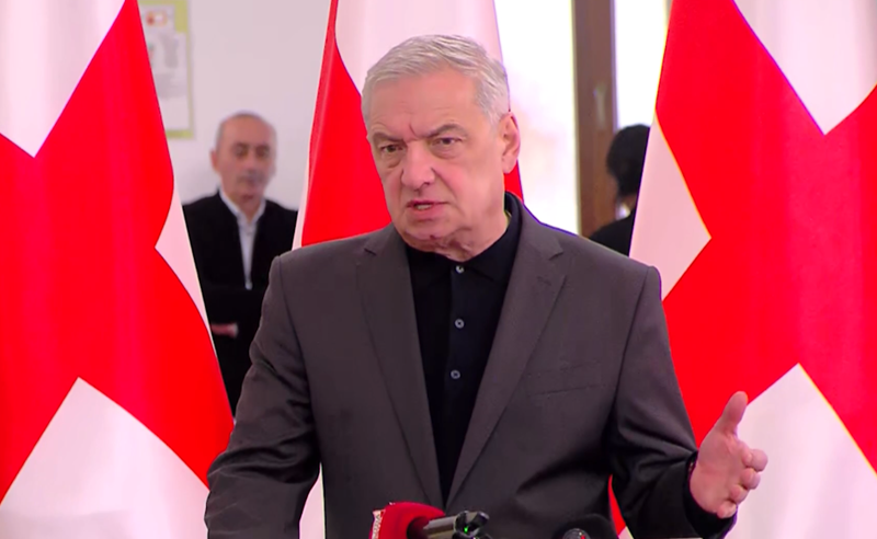 ვოლსკი ევროკავშირს "რევოლუციის წახალისებაში" ადანაშაულებს 