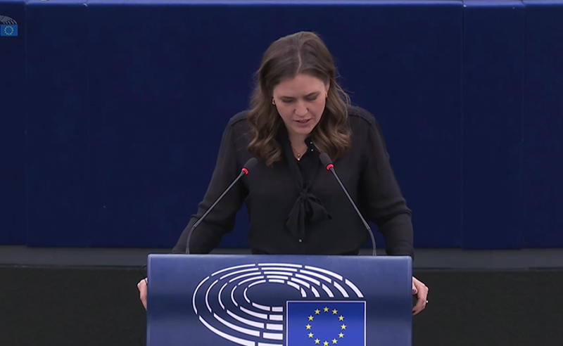 "ოცნება" ანტი-ევროპულ ნარატივს ავრცელებს. ქვეყანამ სერიოზული დემოკრატიული უკუსვლა აჩვენა" - დანიის საგარეო საქმეთა მინისტრი