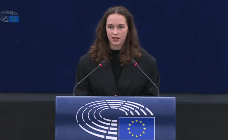 "რასაც საქართველოში ვხედავთ კლასიკური რუსული სახელმძღვანელოა" - ევროპარლამენტარი ლენა შილინგი