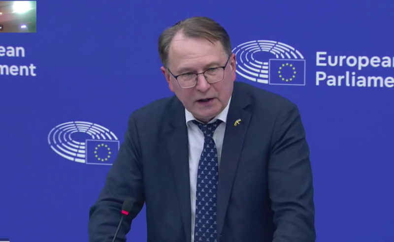 "საქართველო ოლიგარქიულ ერთპარტიულ დიქტატურად იქცა" - დანიუს ჟალიმასი