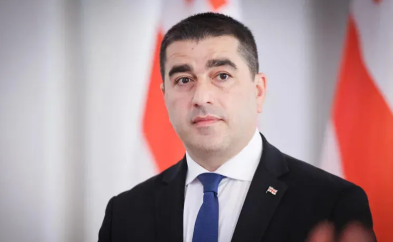 ბრიუსელი ევროპულ ცივილიზაციას ანგრევს - პაპუაშვილი 