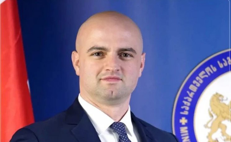 "ჩვენი ქვეყნის იმიჯი მნიშვნელოვნად დაზიანდა" - კორეაში საქართველოს ელჩი თანამდებობას ტოვებს