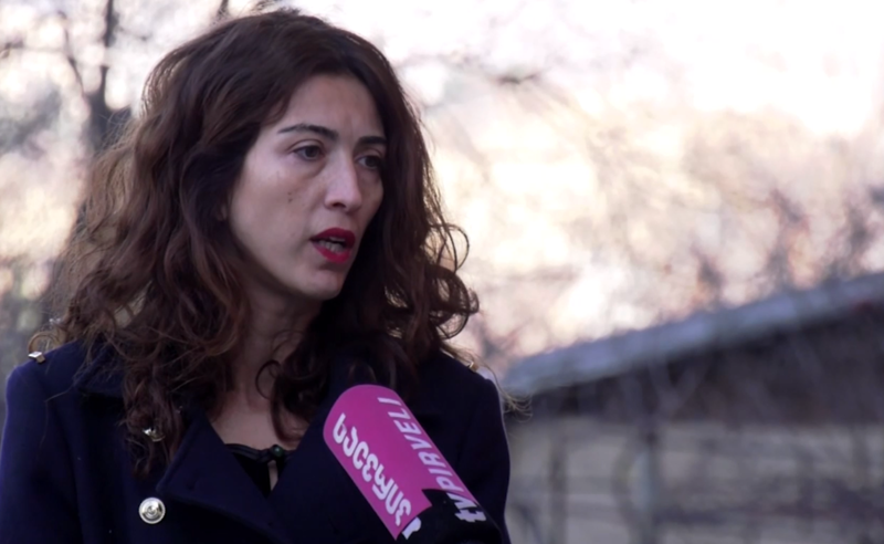 ნინო დოლიძე განმარტავს, რა მოხდება, თუ საქართველო უვიზო მიმოსვლას დაკარგავს 