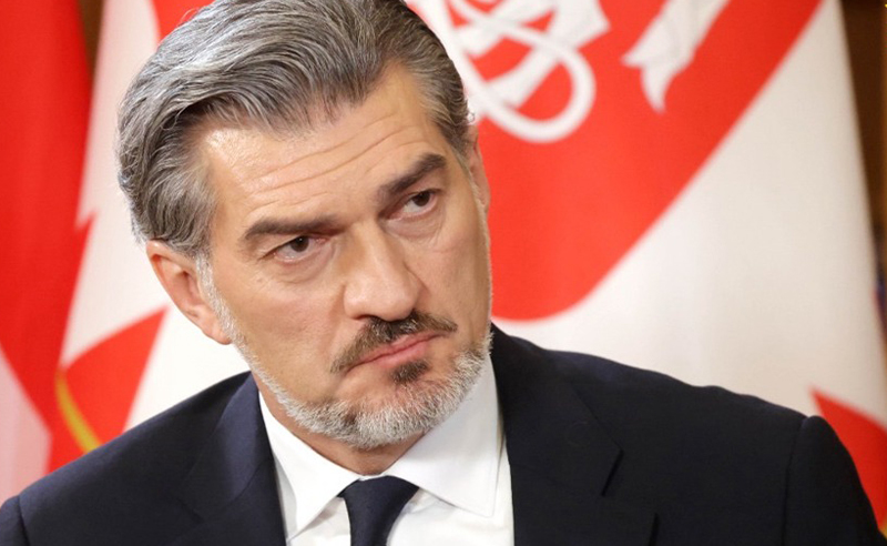 ჩემმა ვიზიტებმა მეზობელ ქვეყნებში ნათლად დამანახა, რომ ჩვენი საგარეო პოლიტიკური ვექტორი უალტერნატივოა - ყაველაშვილი