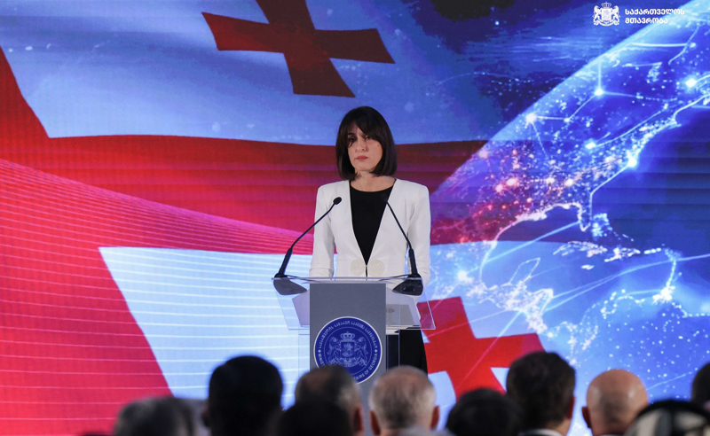 ბოლო წლებში, საქართველომ განვითარების თვალსაჩინო შედეგებს მიაღწია - მაკა ბოჭორიშვილი