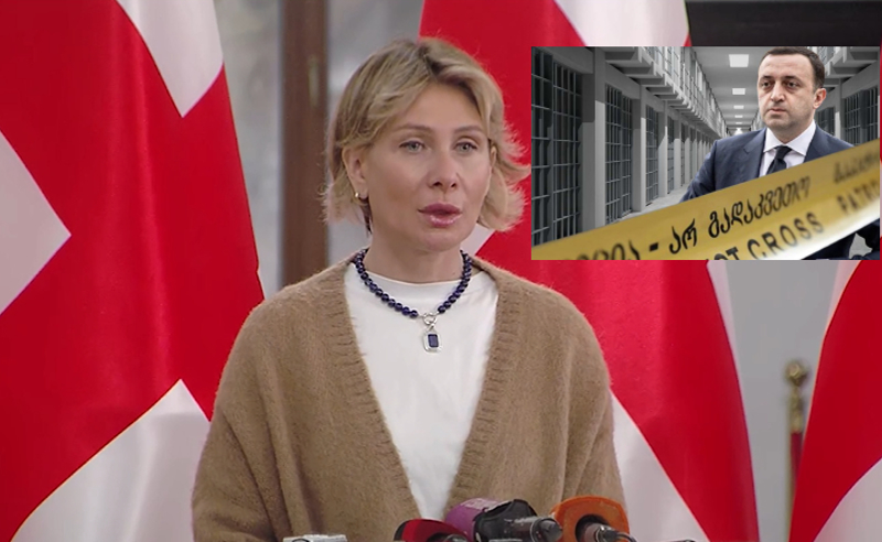 "ღარიბაშვილმა რისკები გათვალა,  მეტი სიბინძურის ამოყრა არავისთვის იქნებოდა სასურველი" - წილოსანი