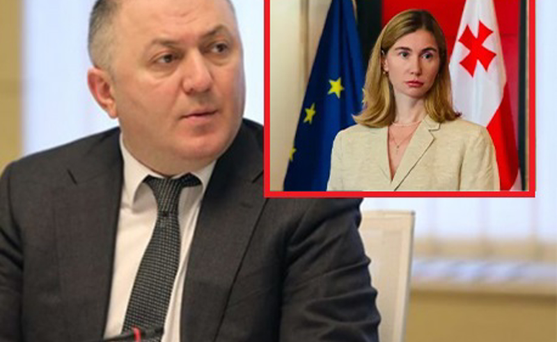 ბოკუჩავა: არ გამოვრიცხავ, რომ ლილუაშვილი, შესაძლოა, ორმაგი აგენტის როლს ასრულებდა